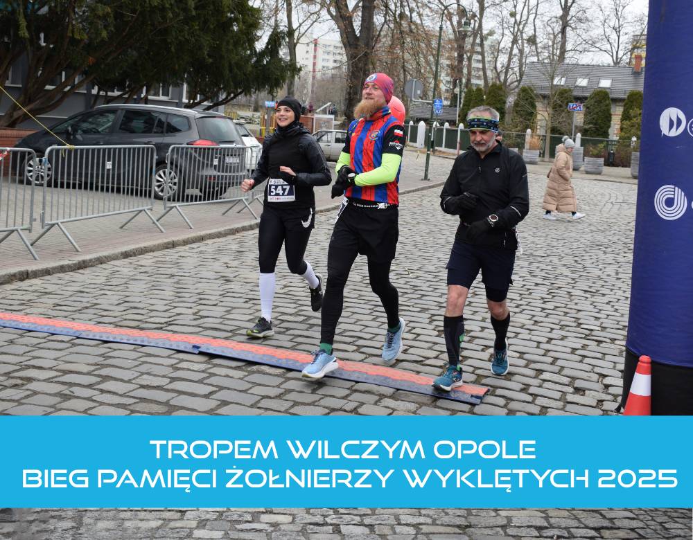 Galeria Tropem Wilczym Opole