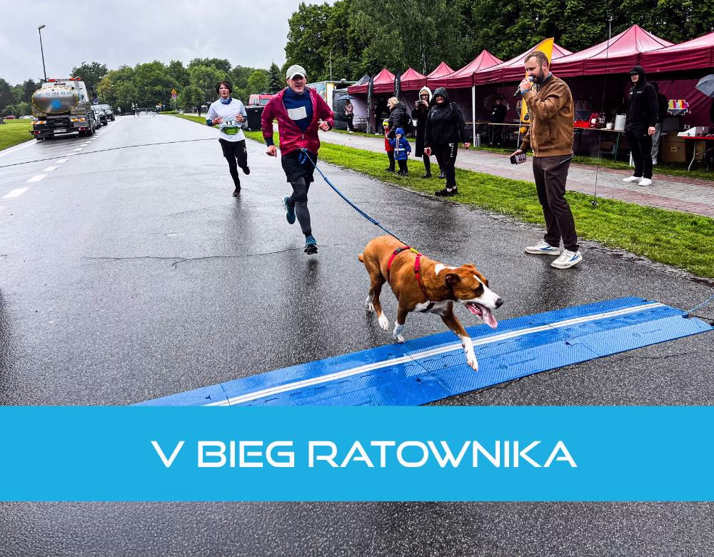 Galeria V Bieg Ratownika