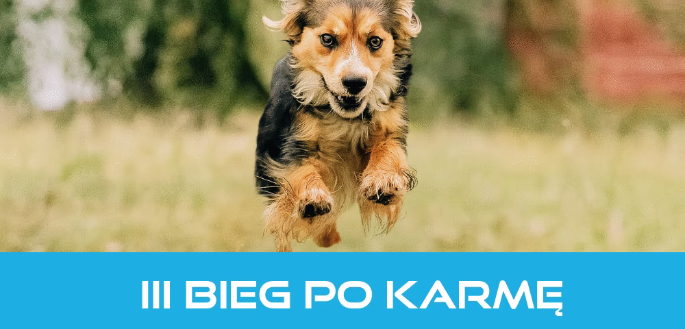 III Bieg po Karmę