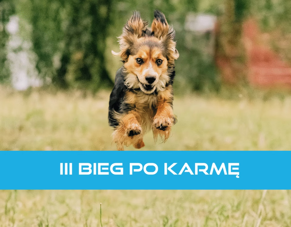 III Bieg po Karmę