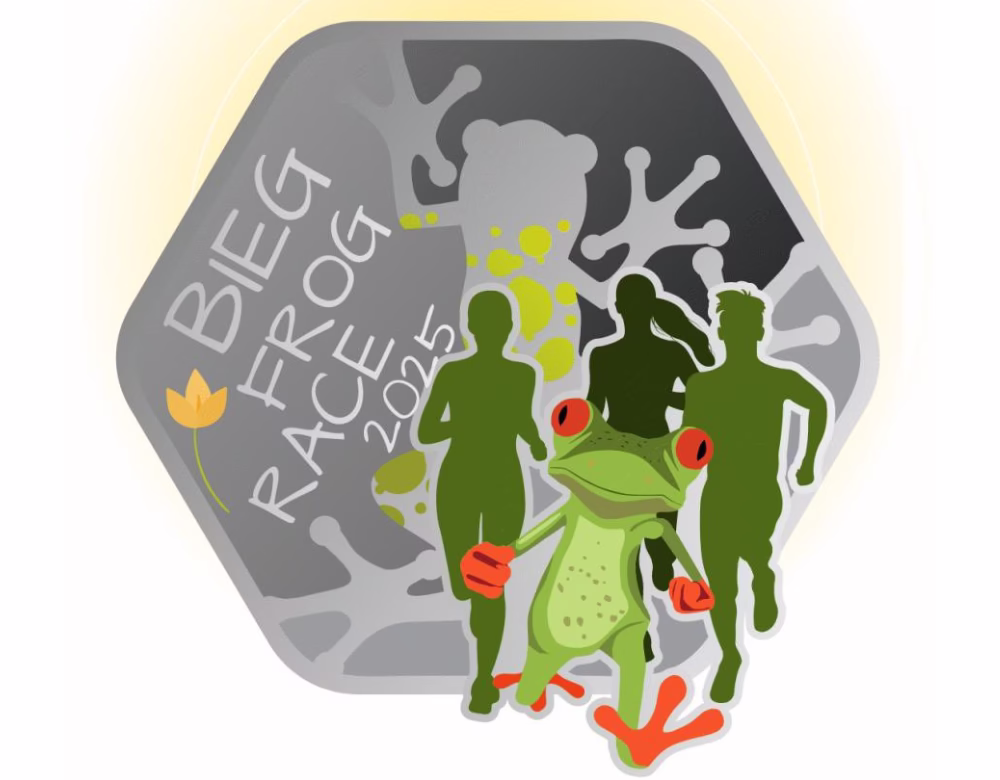 Frog Race 2025