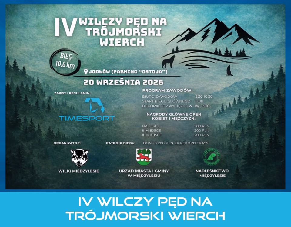 IV WILCZY PĘD NA TRÓJMORSKI WIERCH