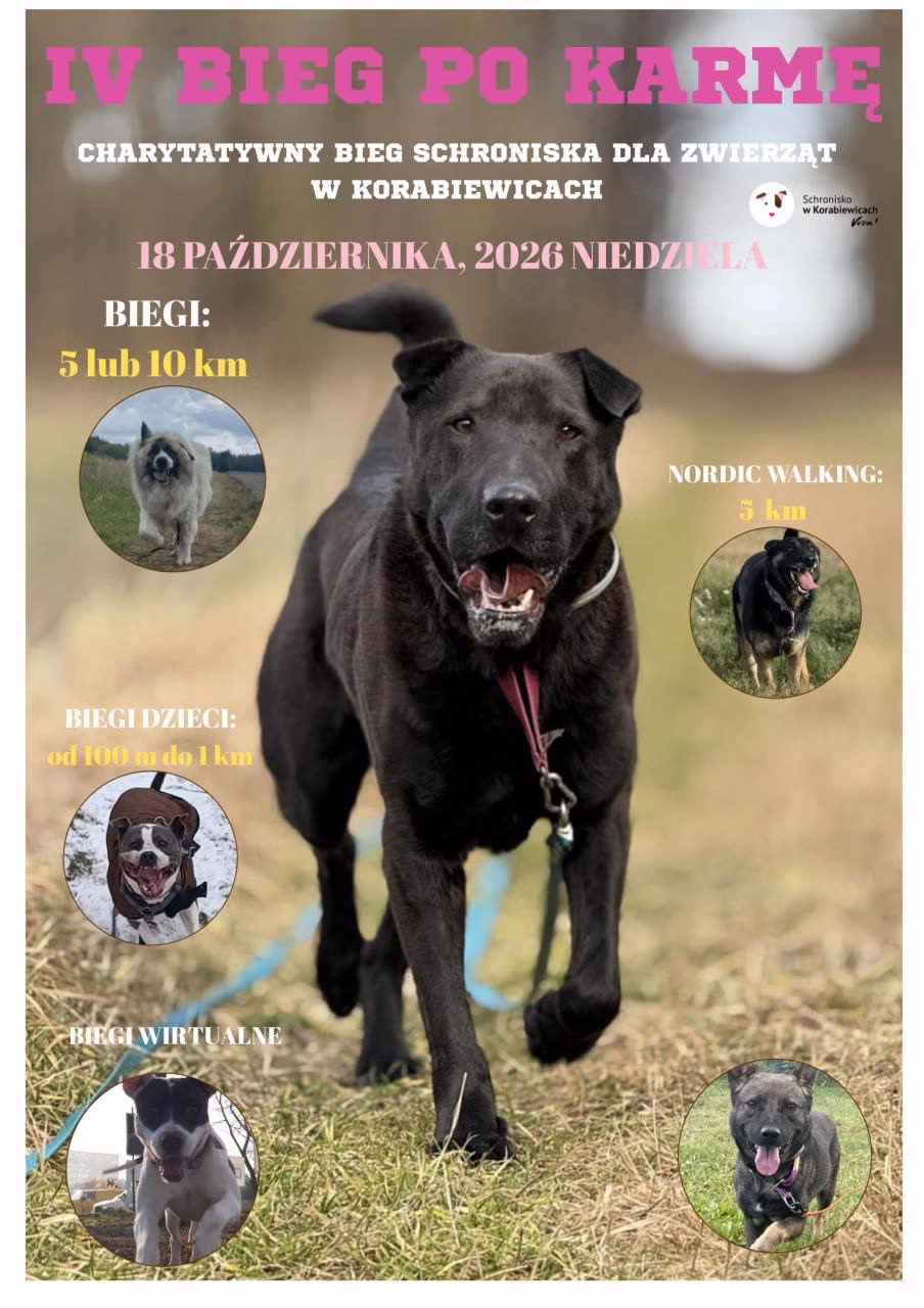 IV Bieg po karmę-plakat